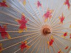 chinesische Regenschirme, Herbstlaub