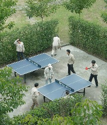 table tennis