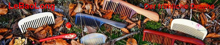 LeBaoLong hair combs