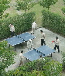 Ping-Pong-Pause